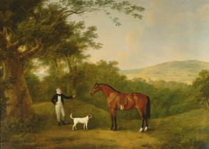 Portret van een Jongen, een Terrier en een Kastanjebruine Pony